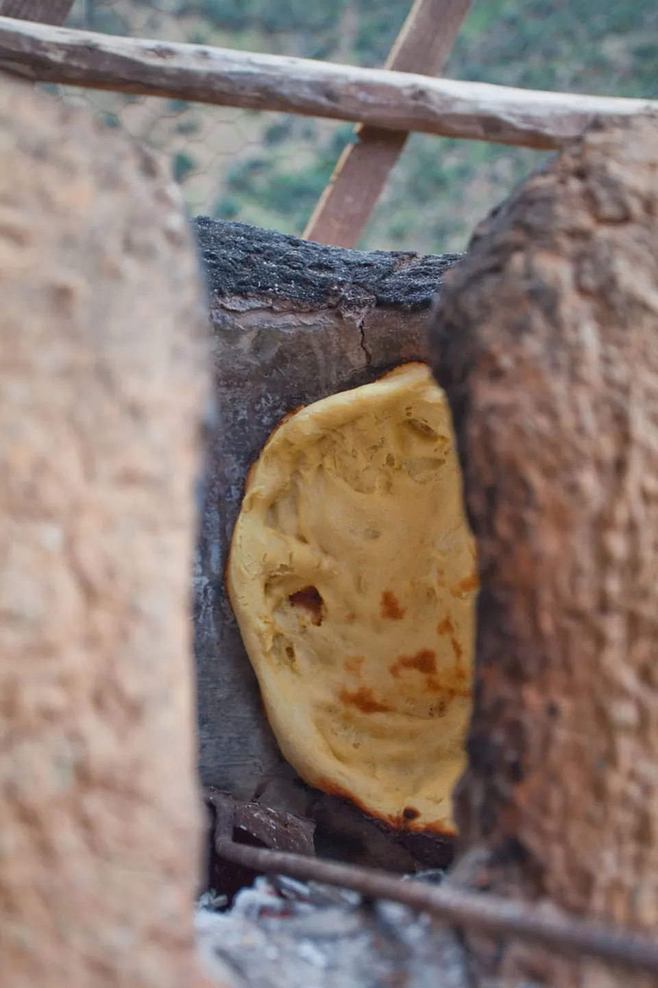 Tanort bread blistering and browning against the oven wall