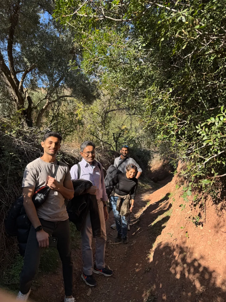 Des hôtes marchent sur un sentier ombragé bordé d'oliviers dans le Parc National du Toubkal