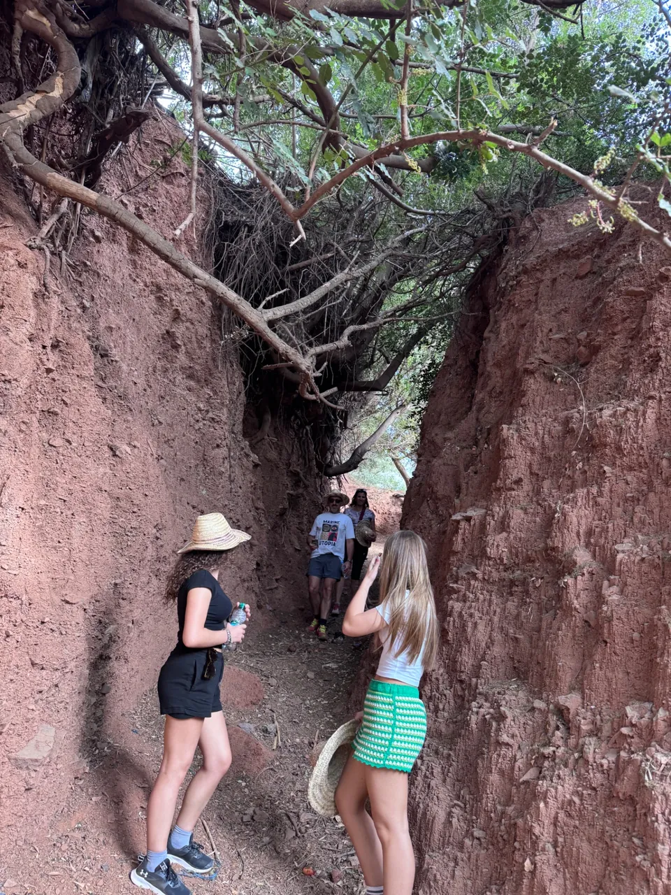 Des hôtes explorent un étroit passage de terre rouge ombragé par de vieux arbres