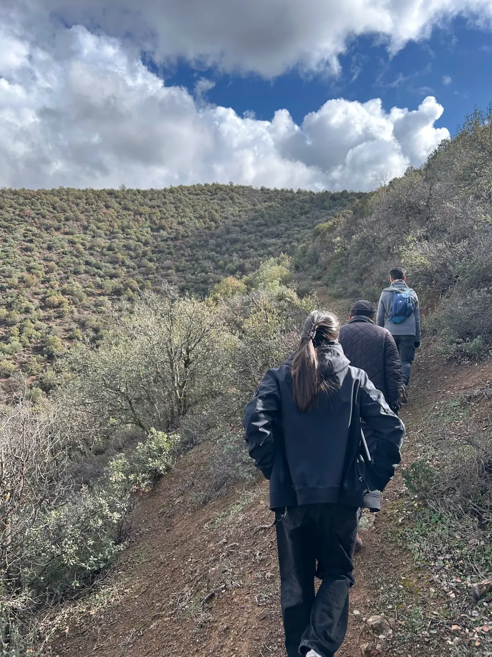 Petit groupe suivant le sentier de crête à travers la garrigue verdoyante de montagne