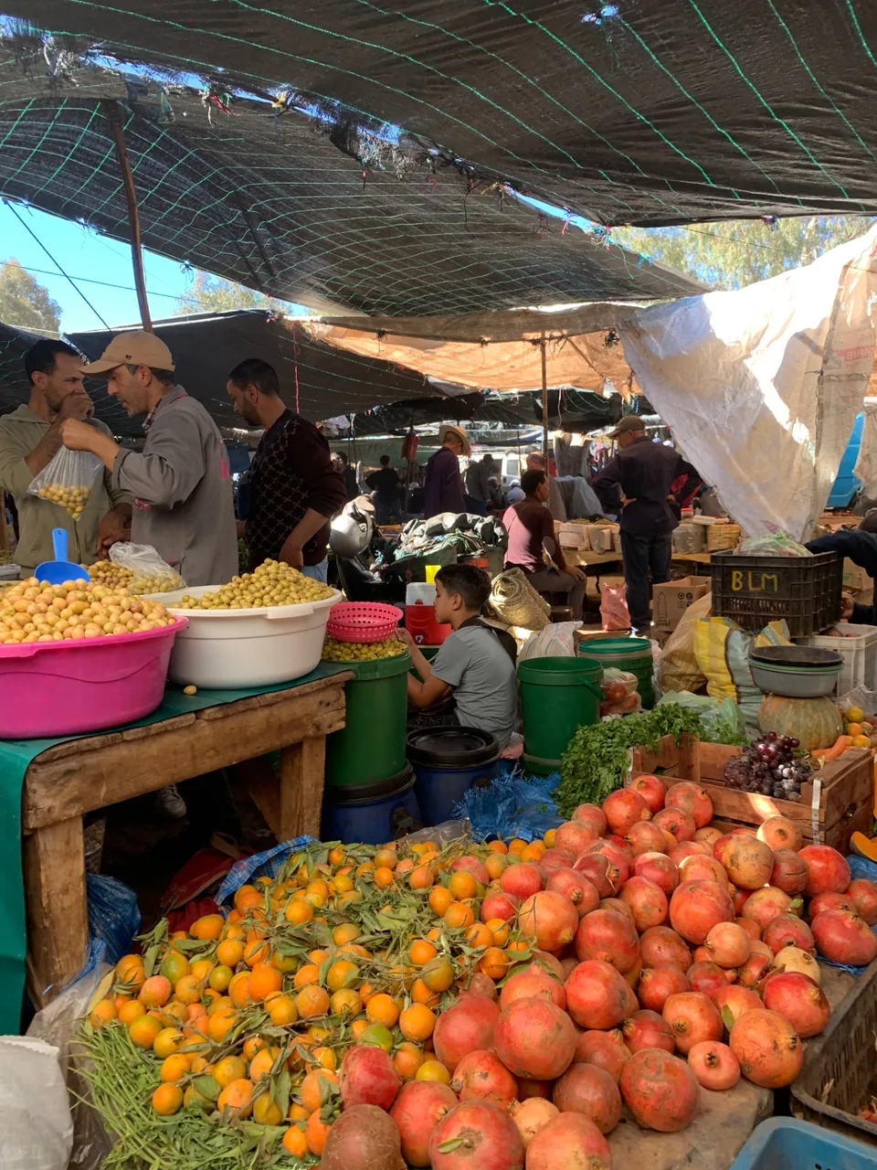 Bassines d'olives à côté des grenades et des mandarines sous les bâches du souk