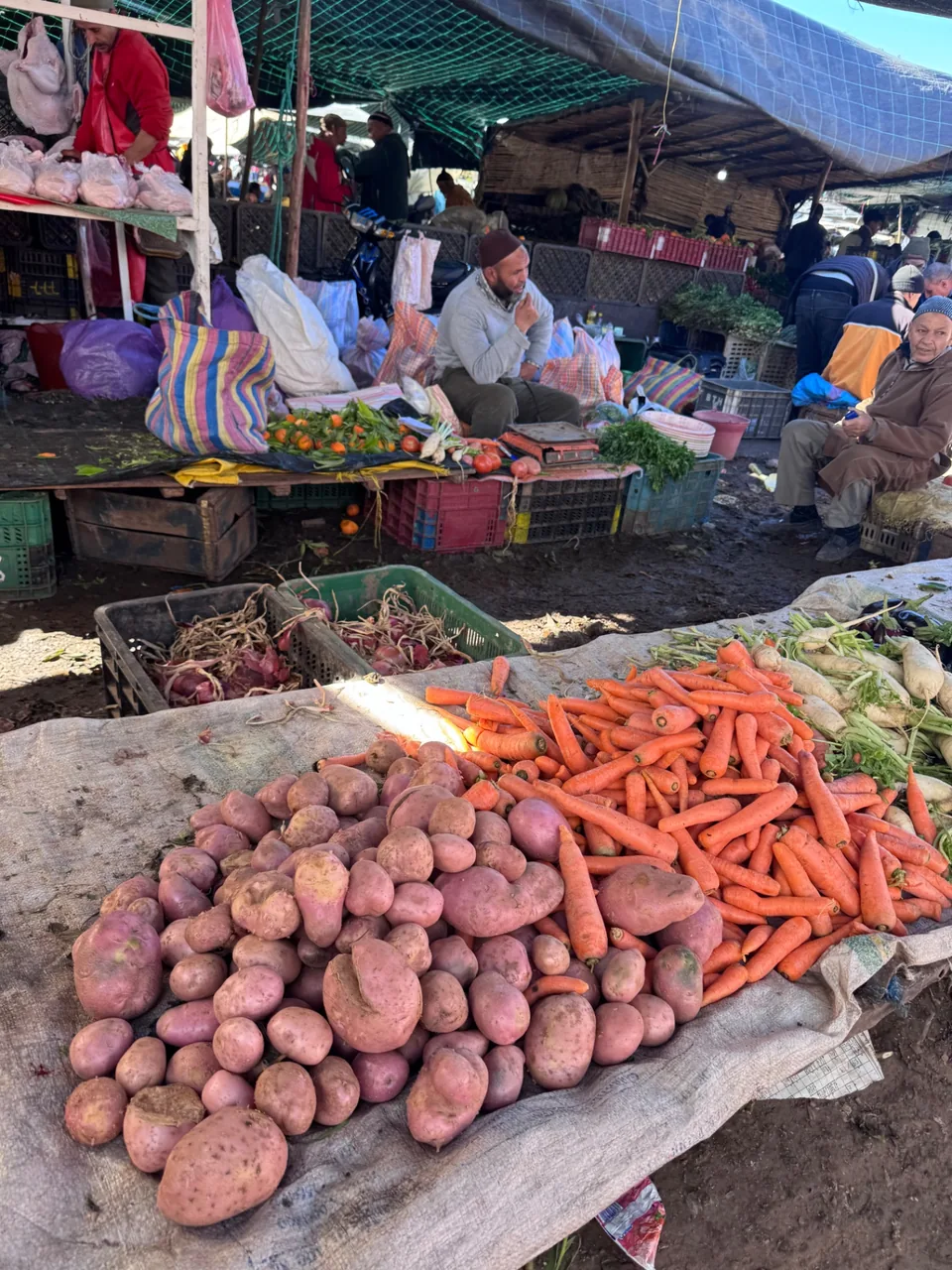 Pommes de terre de montagne, carottes et navets étalés à même le sol