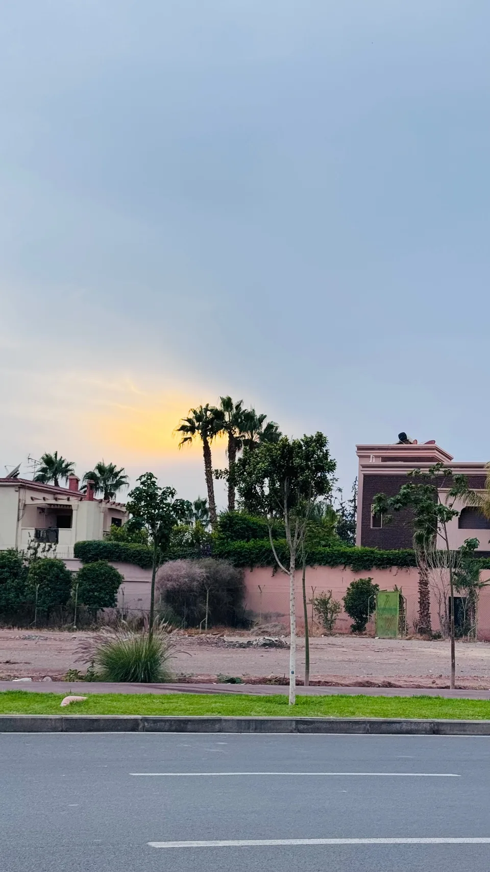 Palms and garden walls on the city outskirts at dusk