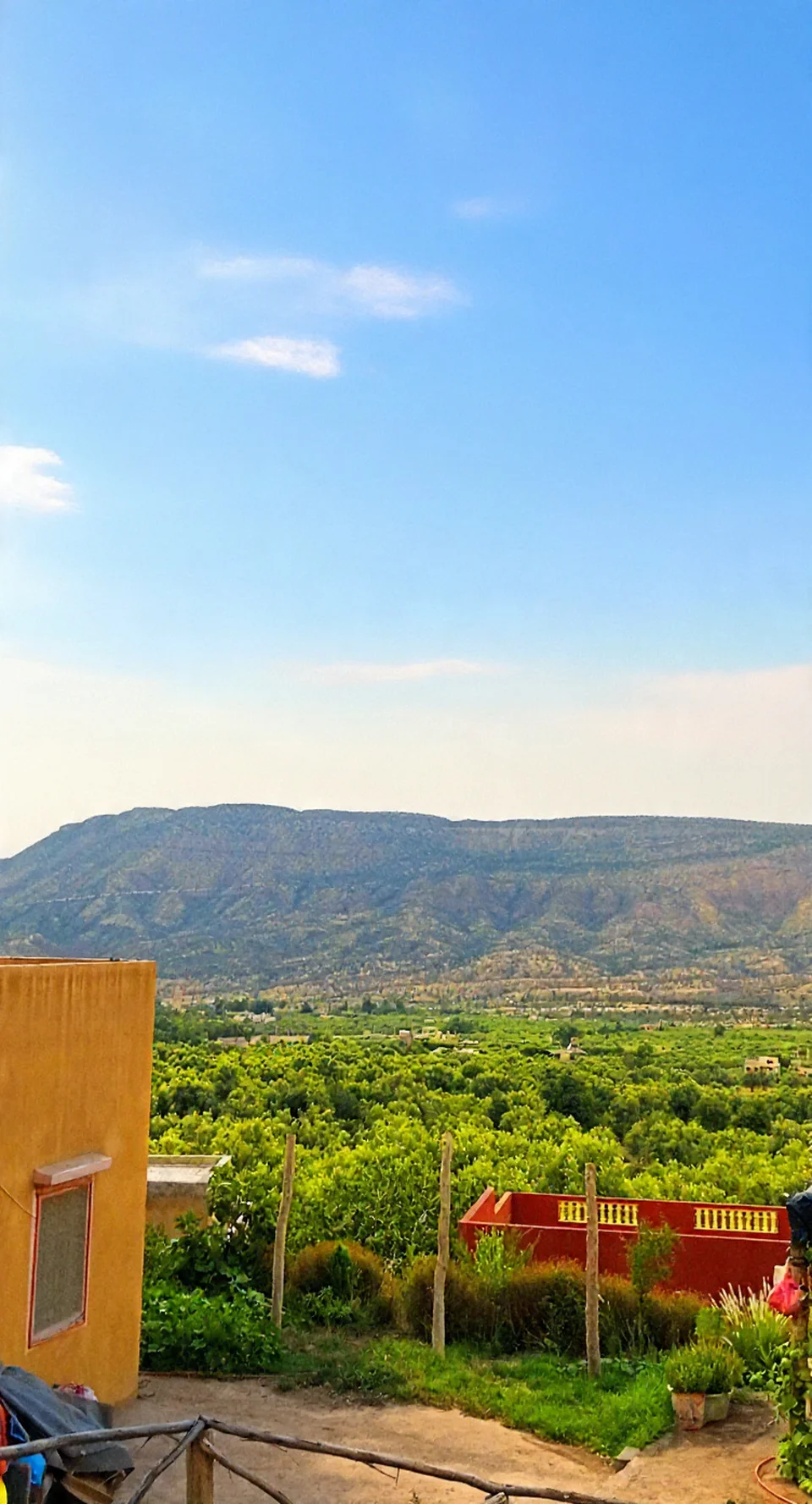 Le bassin d'Ouirgane vu d'une terrasse de village, vergers verts sous la crête montagneuse