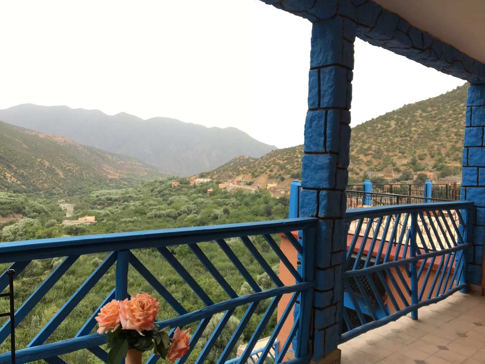 Roses on the blue terrace balcony looking down the green Azaden valley
